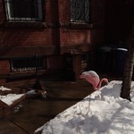 Daydreaming about spring