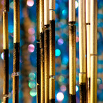 bamboo and blue bokeh