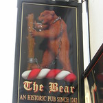 The Bear