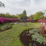 Airlie Gardens Azalea 2018 Festival Prep