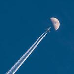Fly me to the Moon