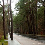 Swinem&uuml;nde 2019 IMG_2070