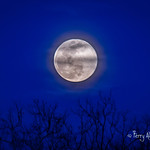 Super Worm Moon On Equinox