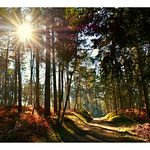 Early afternoon walking. 19