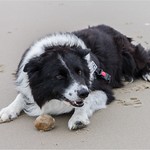 ... a round rock a round rock ...