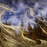 When nature plays abstraction