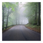 Hazy Road II - Fuji Reala 100 exp*