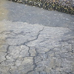 #polar #vortex #nyc #nyc2019