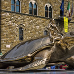 "Searching for Utopia"