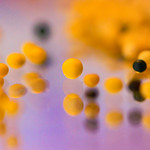 Macro Monday ~What is it?