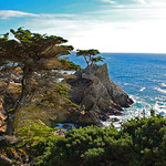 Lone Cypress Viewpoint, from 17-Mile Drive near Pacific Grove, California, Christmas 2018 (explored)