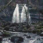 vintage camera photography