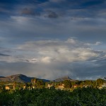 LOS ULTIMOS RAYOS DEL SOL