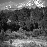 Mt. Shasta - Tonal Range - B&W