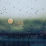 rain