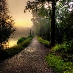 The lane by the lake