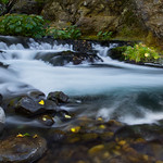 Deer Creek LNF Deer Creek LNF