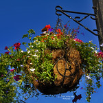 " I will give thanks in the great congregation: I will praise thee among much people" ~ Psalm 35:18