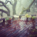 first rain of the season