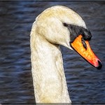 1670- It's SPRING!!!!