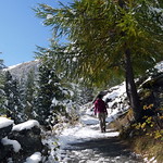 Walking in a Winter Wonderland