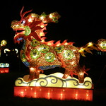 China Lights