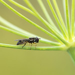 It's a small world after all! (216/366)