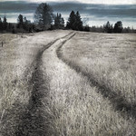 where our paths lead us