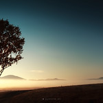 MY 2012 ---- 内蒙古 &bull; 坝上 / Bashang grassland &bull; Inner Mongolia