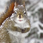 It's their world too...