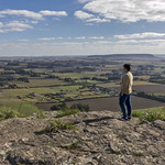 Over the green fields