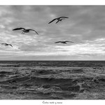 Contra Viento y Marea