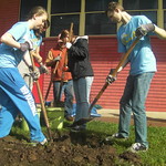 Fruit Tree Distribution 2013