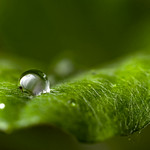 Macro Photography