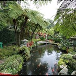 Monte Palace Tropical Garden - Madeira