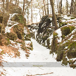 My heart is half wild