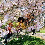 four of a kind (A-Z group)