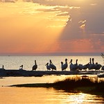 Sunrise at North Point