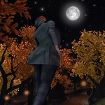 Don't lose the moon while counting the stars.