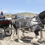 California Trail Interpretive Center wagon ride at Grand Opening