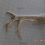 Haunted house progress 001