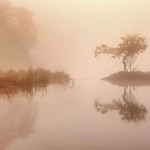 Rydal Mist