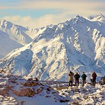 Waiting for the Migration - Alaska