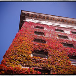 Blue sky over the Sylvia