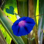 My heart is perfect when we are together...