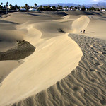 Gran Canaria , Duna de Maspalomas , Gratwanderung , 2-32/1626