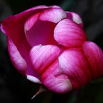 Encouraged By October Warmth