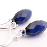 Dark Indigo Blue Crystal Earrings
