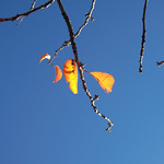 Six, seven, eight, nine, ten, Then I let go again.