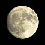 Moon--Waxing Gibbous-- August 7, 2006